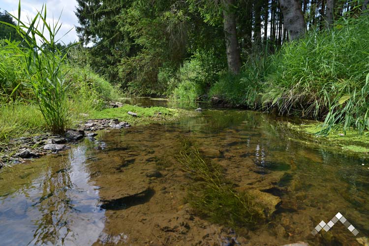 LA RIVELAINE-33